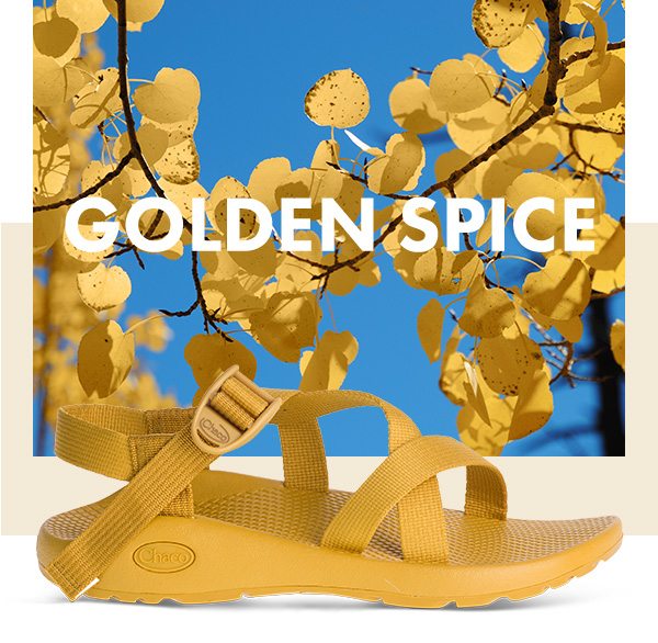 GOLDEN SPICE