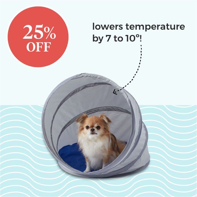 Pawslife clearance pet cot