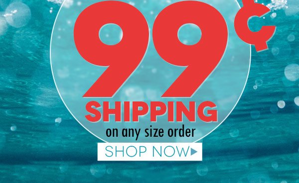 99¢ shipping on any size order