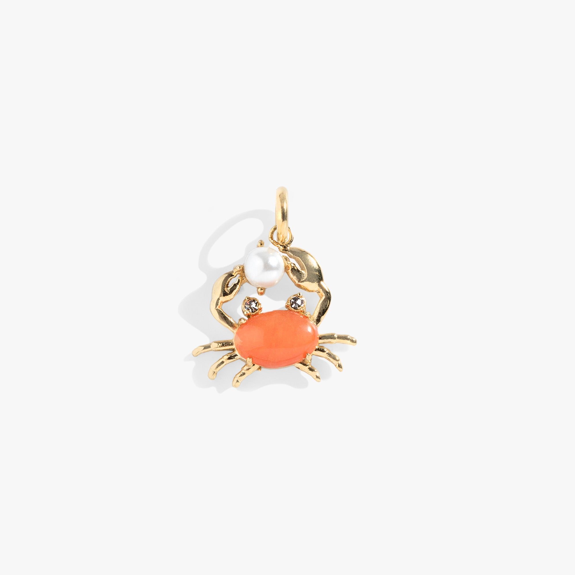 Image of Crab Interchangeable Charm