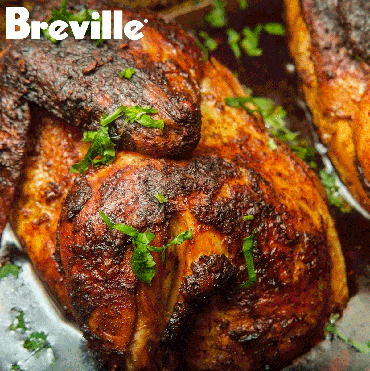 In Store Cooking Classes Featuring Breville