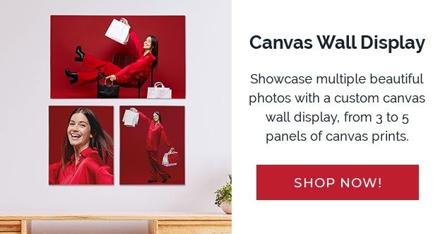 Canvas Wall Display