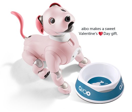 aibo makes a sweet Valentine's Day gift.