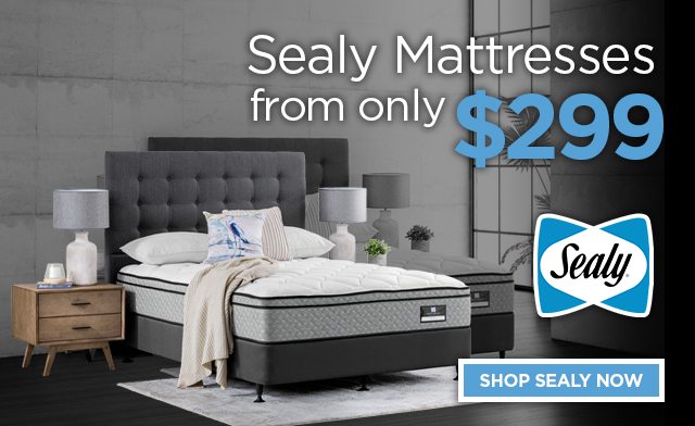 Shop Sealy