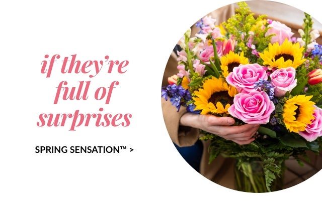 SPRING SENSATION