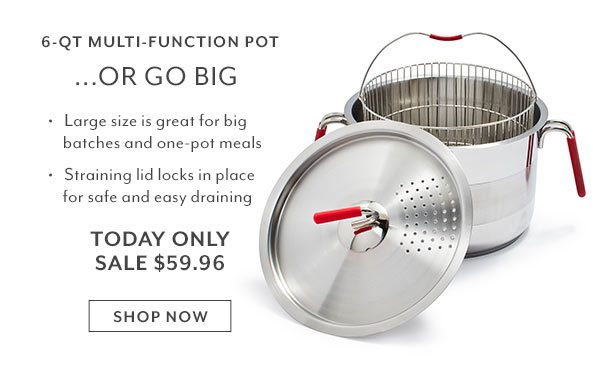 Multi-function Pot