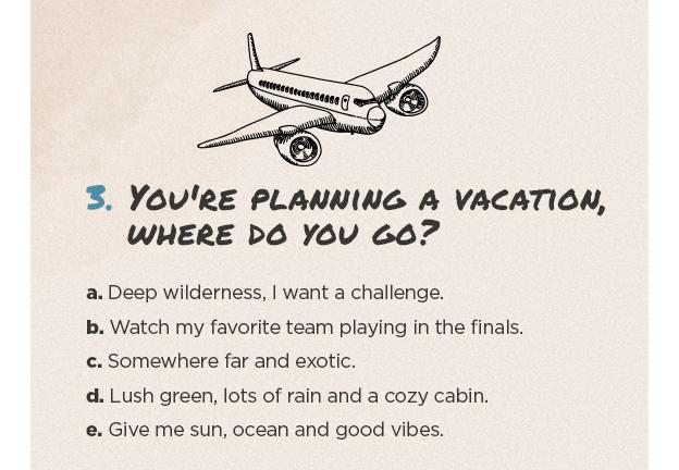 3. You're planning a vacation, where do you go? a. Deep wilderness, I want a challenge. b. Watch my favorite team playing in the finals. c. Somewhere far and exotic. d. Lush green, lots of rain and a cozy cabin. e. Give me sun, ocean and good vibes.