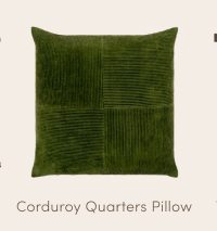 Corduroy Quarters Pillow