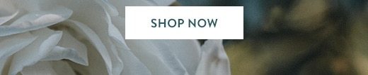 Shop now »