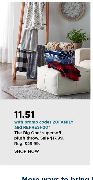 your price 11.51 the big one supersoft plush throw after you enter promo codes 20FAMILY and REFRESH2