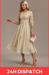 Champagne Embroidery 3/4 Sleeve Round Neck Dress