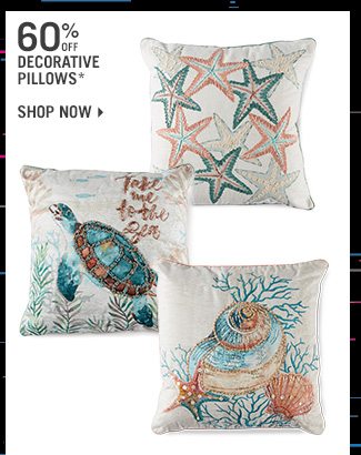Shop 60% Off Decorative Pillows