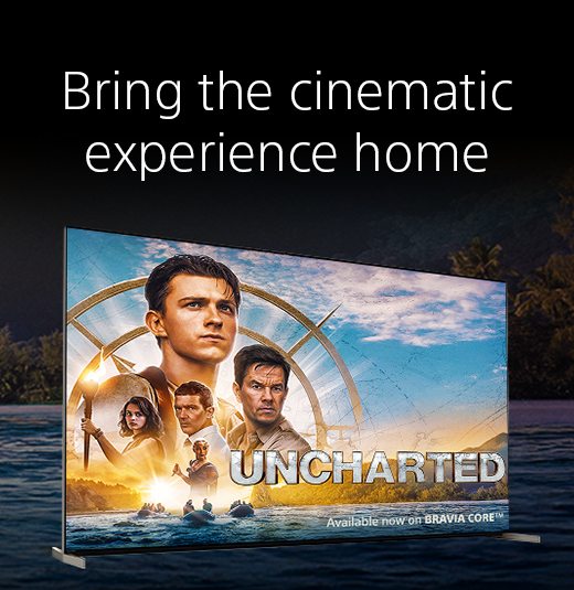 Bring the cinematic experience home