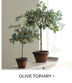 Olive Topiary