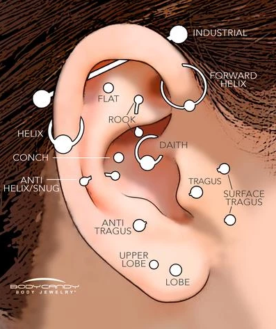 Plug Styles - What's the difference?