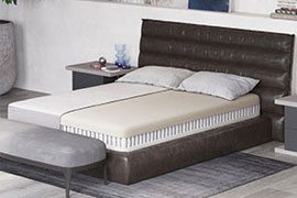 all Eight Sleep mattresses + a FREE Amazon Echo Dot with purchase during Eight's Black Friday sale