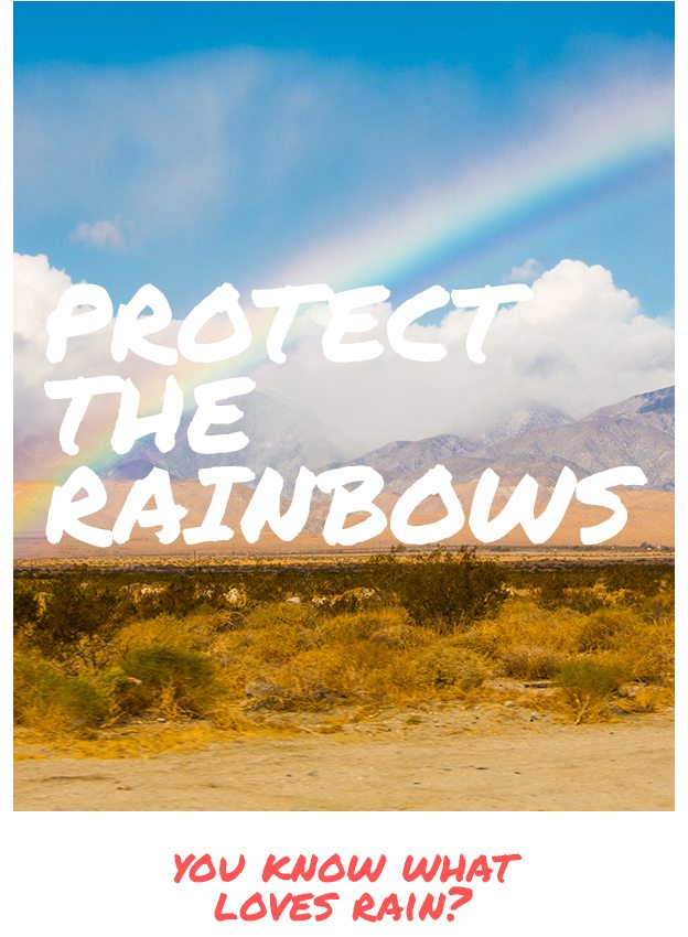 Protect The Rainbows