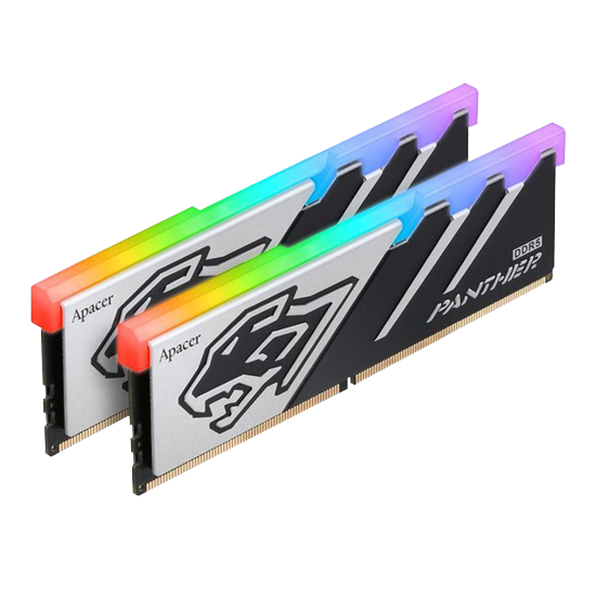 Panther RGB 32GB 2x16GB DDR5-6000 PC5-48000 CL40 Dual Channel Desktop Memory Module