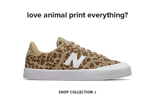 Shop the Print Collection