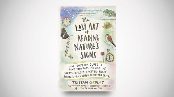 The Lost Art of Reading Nature's Signs