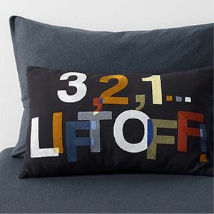 Smithsonian 321 lift off pillow