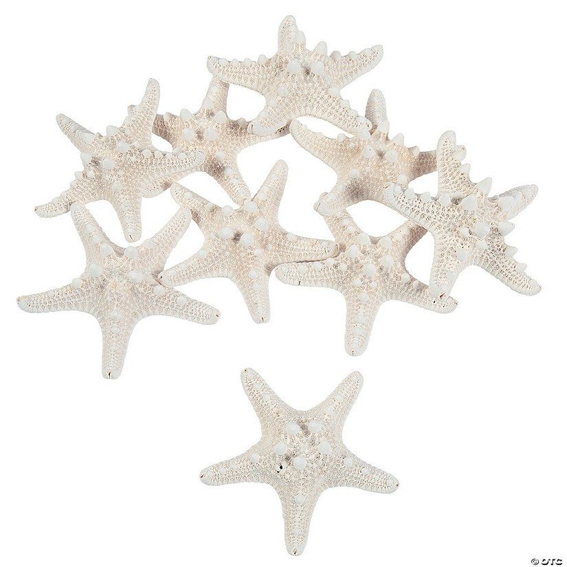 Natural Bleached Philippine Starfish