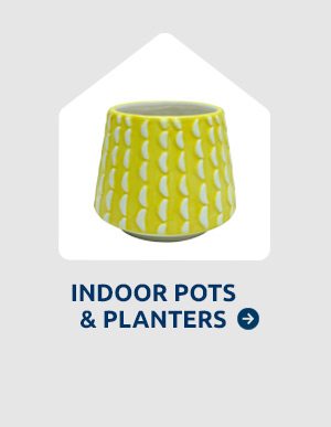 Indoor Pots & Planters