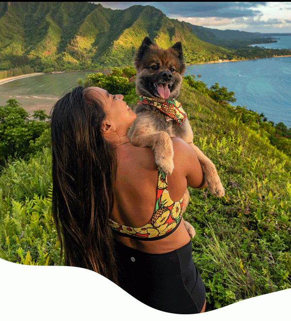 “A Fetching Look For Your Pup