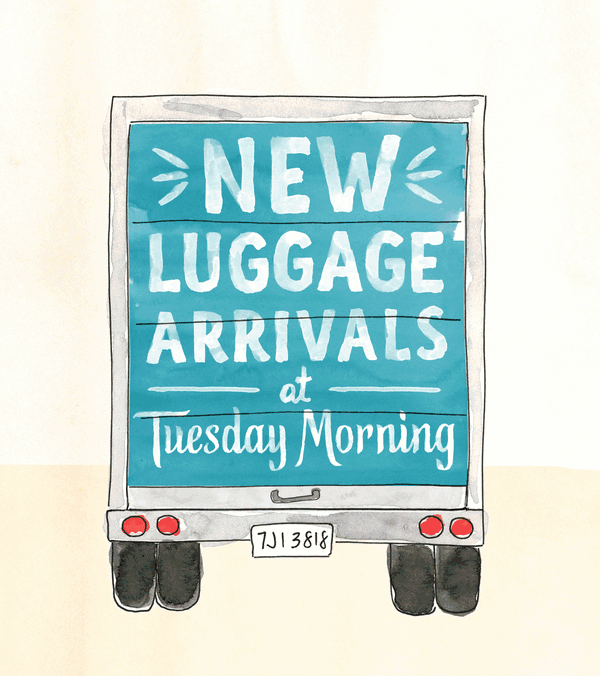 New Luggage Arrivals