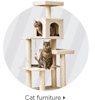 Cat furniture > 