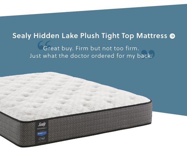 sealy hidden lake plush tight top king mattress