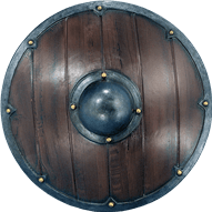  Small Round Viking LARP Shield