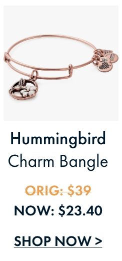 Hummingbird Charm Bangle | $23.40