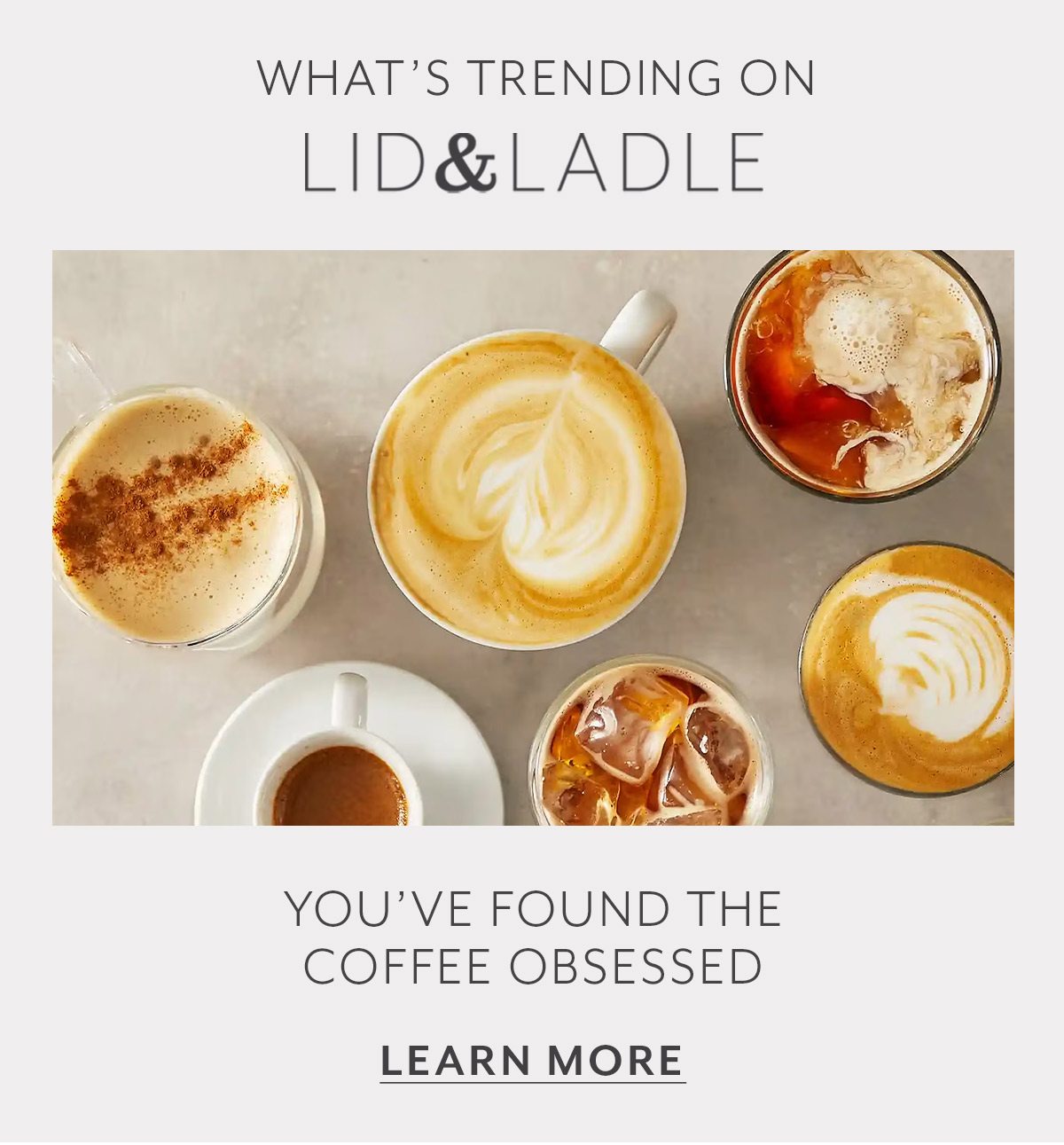 What's Trending on Lid & Ladle 