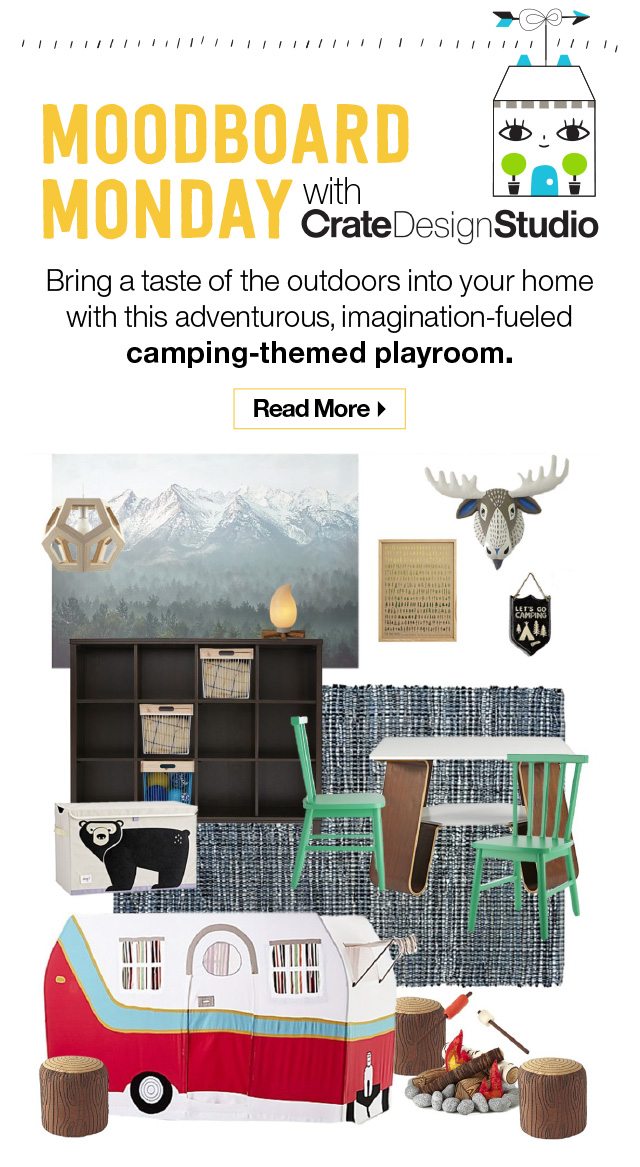 Read More About This Camping Themed Playroom