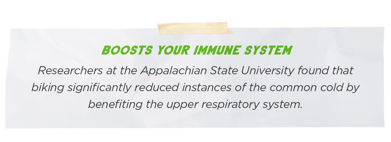 Boosts Your Immune System