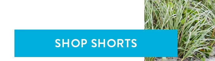 Shop Shorts