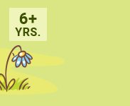 6 Plus Yrs.