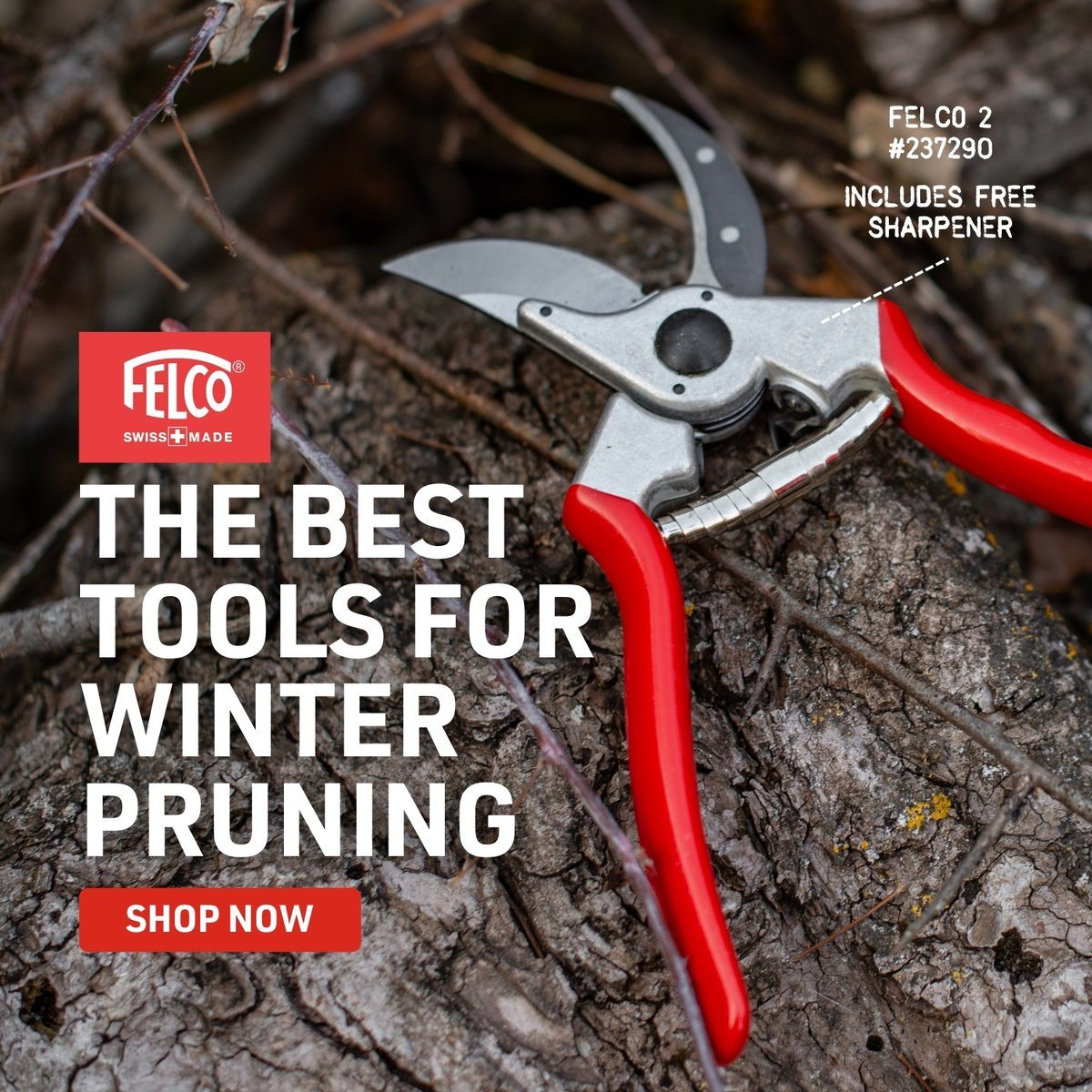 The best tools for winter pruning. Featuring a Felco 2 pruning.