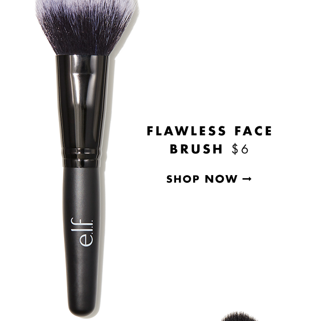 Flawless Face Brush