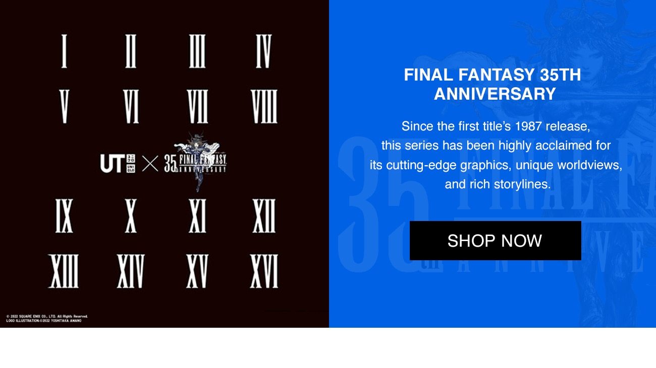 Final Fantasy Banner