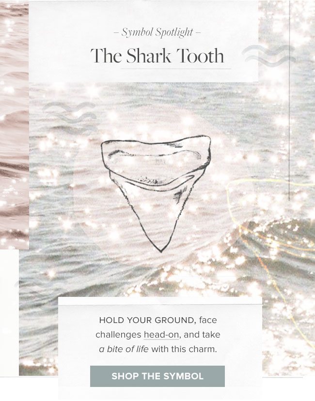Explore all shark tooth styles. 