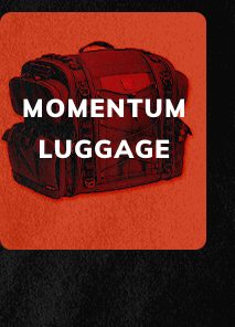 Momentum Luggage