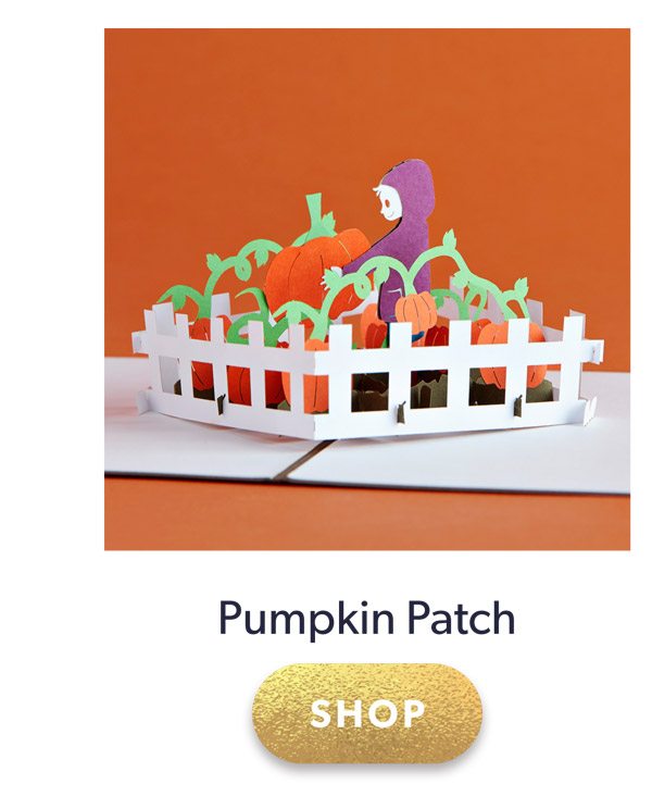 Shop Pumpkin Patch