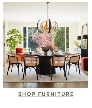 Shop Furniture