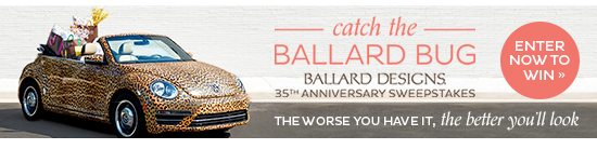 Catch the Ballard Bug Sweepstakes