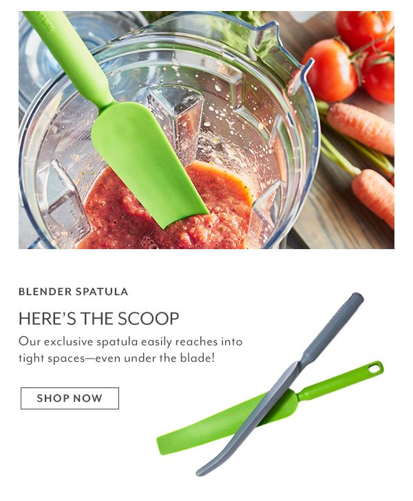 Blender Spatulas