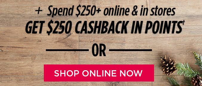 + Spend $250+ online & in stores GET $250 CASHBACK IN POINTS† -OR- | SHOP ONLINE NOW