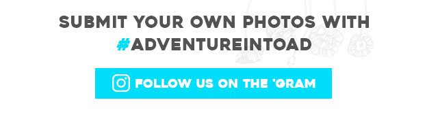 Follow us
