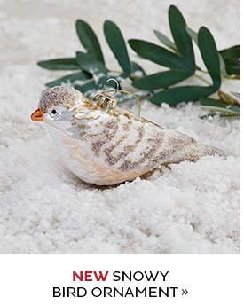 NEW Snowy Bird Ornament